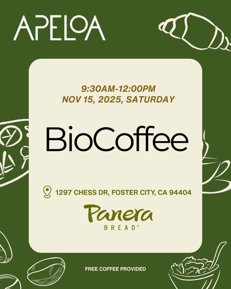 graphical user interface, text, application