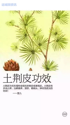 女神泡泡 以天然精粹之名，重塑女性健康養護新標準